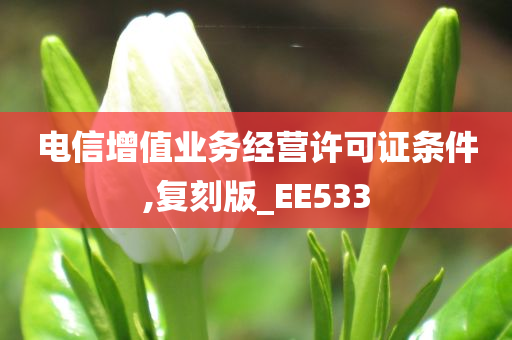 电信增值业务经营许可证条件,复刻版_EE533