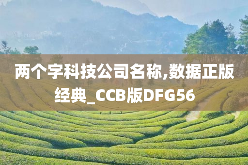 两个字科技公司名称,数据正版经典_CCB版DFG56