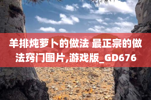 羊排炖萝卜的做法 最正宗的做法窍门图片,游戏版_GD676