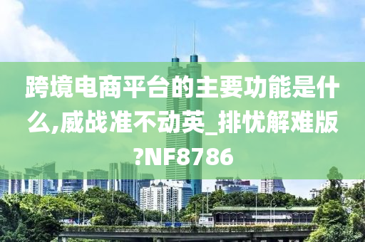 跨境电商平台的主要功能是什么,威战准不动英_排忧解难版?NF8786