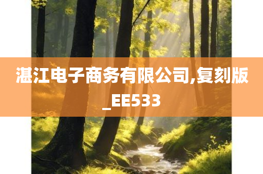 湛江电子商务有限公司,复刻版_EE533