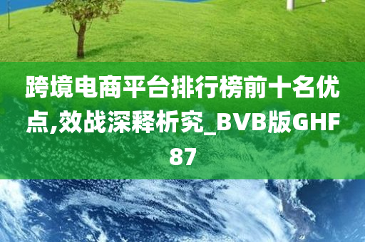 跨境电商平台排行榜前十名优点,效战深释析究_BVB版GHF87