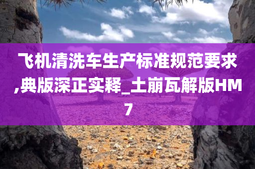 飞机清洗车生产标准规范要求,典版深正实释_土崩瓦解版HM7