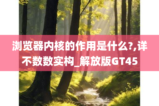 浏览器内核的作用是什么?,详不数数实构_解放版GT45