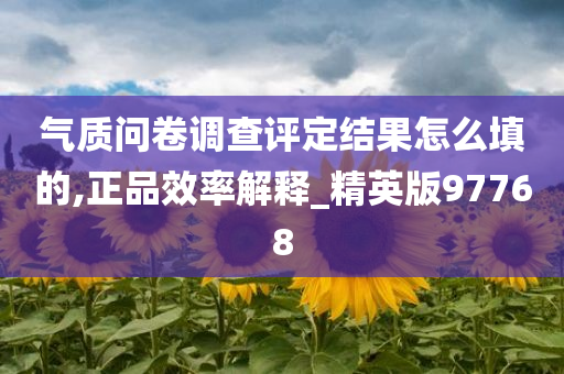 气质问卷调查评定结果怎么填的,正品效率解释_精英版97768