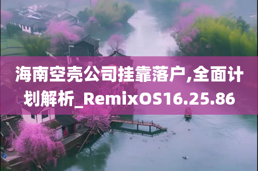 海南空壳公司挂靠落户,全面计划解析_RemixOS16.25.86