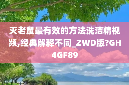 灭老鼠最有效的方法洗洁精视频,经典解释不同_ZWD版?GH4GF89