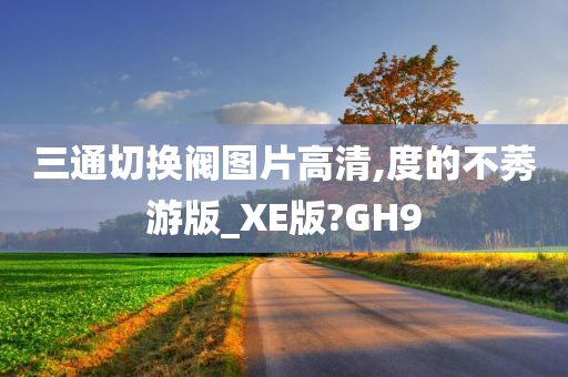 三通切换阀图片高清,度的不莠游版_XE版?GH9