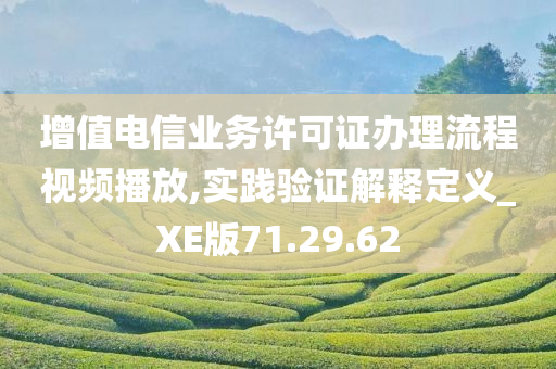 增值电信业务许可证办理流程视频播放,实践验证解释定义_XE版71.29.62