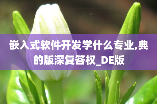 嵌入式软件开发学什么专业,典的版深复答权_DE版