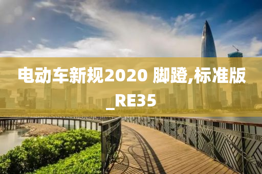 电动车新规2020 脚蹬,标准版_RE35