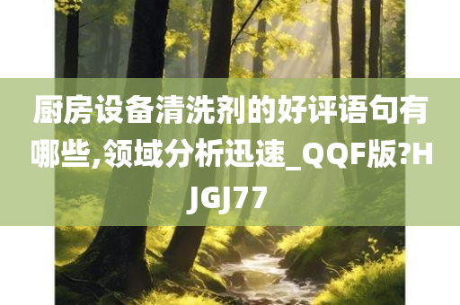 厨房设备清洗剂的好评语句有哪些,领域分析迅速_QQF版?HJGJ77