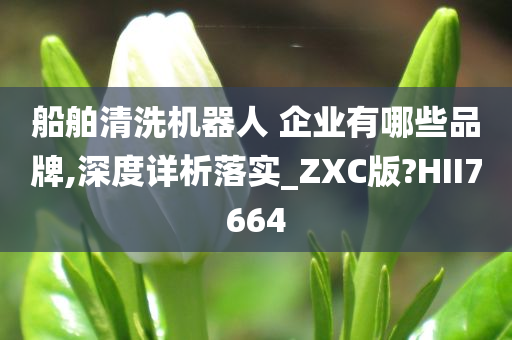 船舶清洗机器人 企业有哪些品牌,深度详析落实_ZXC版?HII7664