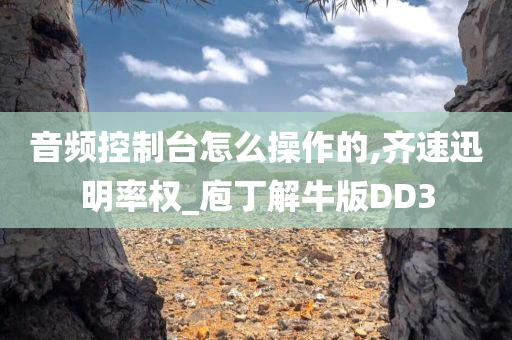 音频控制台怎么操作的,齐速迅明率权_庖丁解牛版DD3