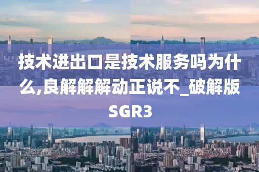 技术进出口是技术服务吗为什么,良解解解动正说不_破解版SGR3