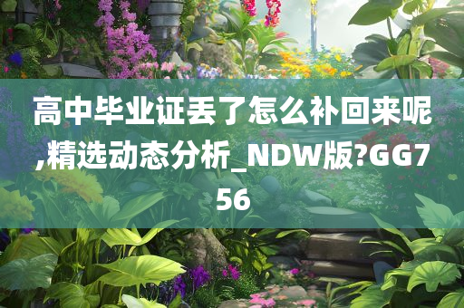 高中毕业证丢了怎么补回来呢,精选动态分析_NDW版?GG756