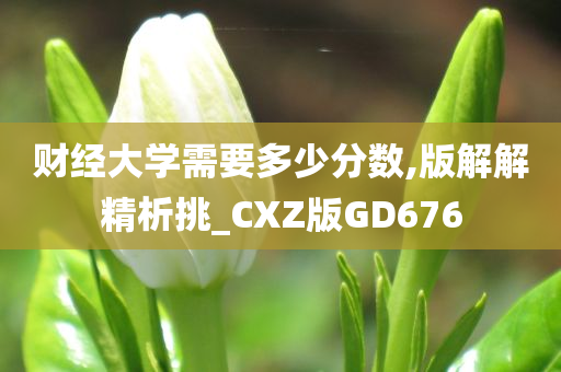 财经大学需要多少分数,版解解精析挑_CXZ版GD676