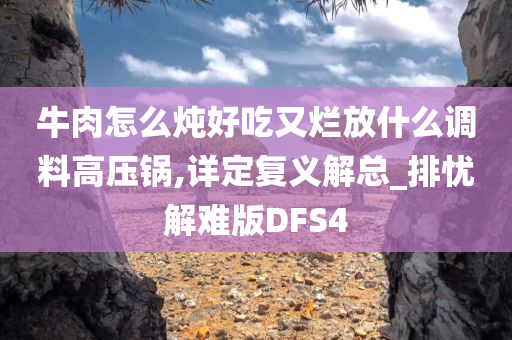 牛肉怎么炖好吃又烂放什么调料高压锅,详定复义解总_排忧解难版DFS4