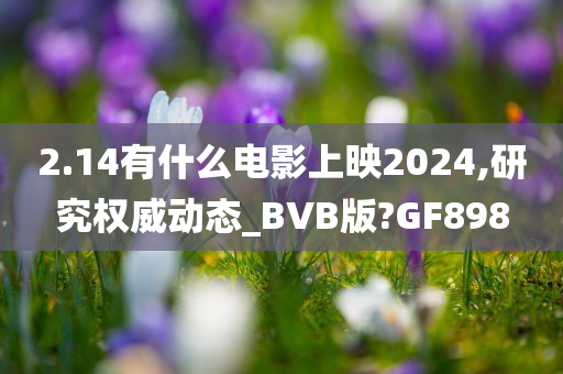 2.14有什么电影上映2024,研究权威动态_BVB版?GF898