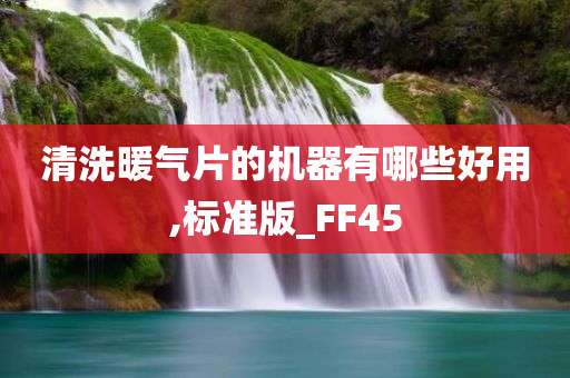 清洗暖气片的机器有哪些好用,标准版_FF45