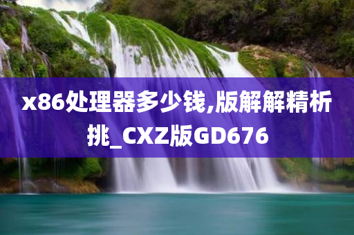 x86处理器多少钱,版解解精析挑_CXZ版GD676