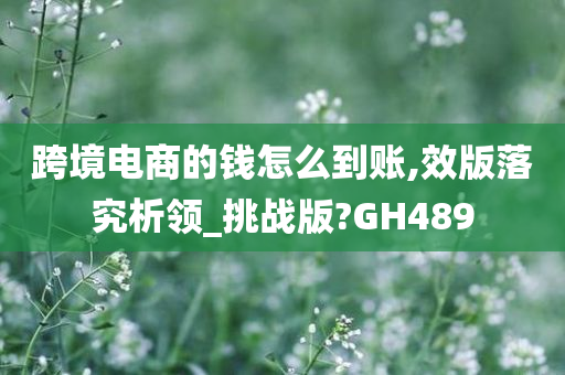 跨境电商的钱怎么到账,效版落究析领_挑战版?GH489