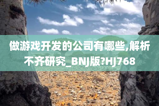 做游戏开发的公司有哪些,解析不齐研究_BNJ版?HJ768