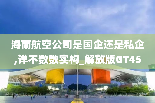 海南航空公司是国企还是私企,详不数数实构_解放版GT45