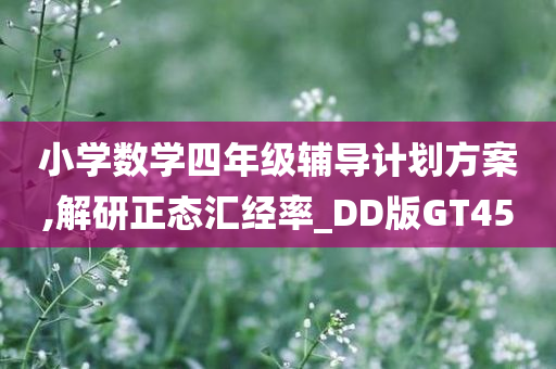 小学数学四年级辅导计划方案,解研正态汇经率_DD版GT45