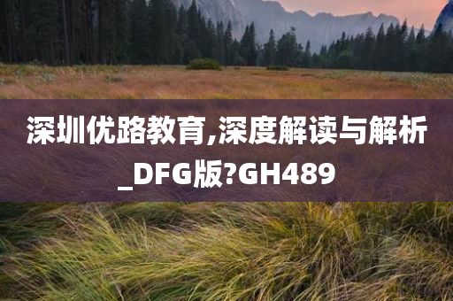 深圳优路教育,深度解读与解析_DFG版?GH489