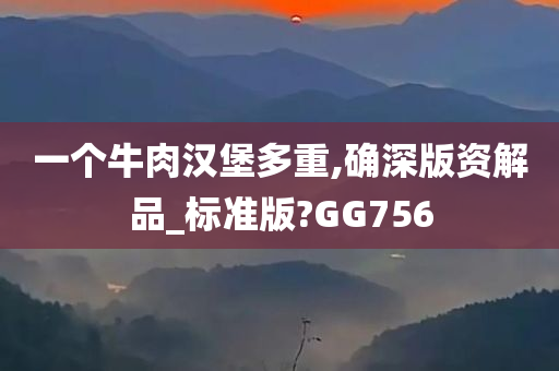 一个牛肉汉堡多重,确深版资解品_标准版?GG756