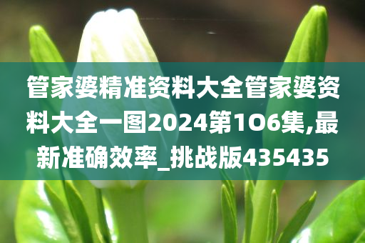 管家婆精准资料大全管家婆资料大全一图2024第1O6集,最新准确效率_挑战版435435