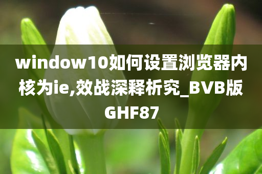 window10如何设置浏览器内核为ie,效战深释析究_BVB版GHF87