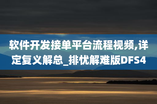 软件开发接单平台流程视频,详定复义解总_排忧解难版DFS4