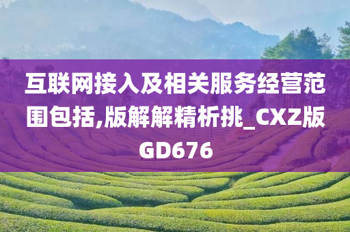 互联网接入及相关服务经营范围包括,版解解精析挑_CXZ版GD676