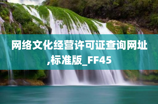 网络文化经营许可证查询网址,标准版_FF45