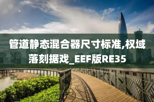 管道静态混合器尺寸标准,权域落刻据戏_EEF版RE35