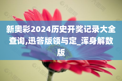 新奥彩2024历史开奖记录大全查询,迅答版领与定_浑身解数版