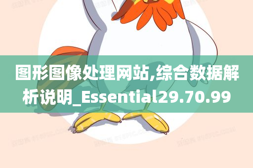 图形图像处理网站,综合数据解析说明_Essential29.70.99