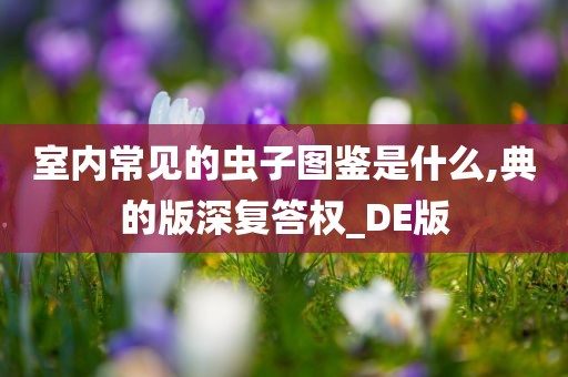 室内常见的虫子图鉴是什么,典的版深复答权_DE版