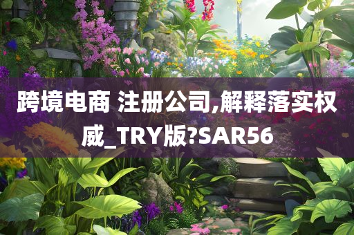 跨境电商 注册公司,解释落实权威_TRY版?SAR56