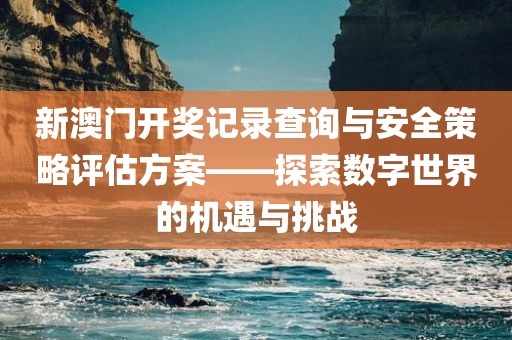 新澳门开奖记录查询与安全策略评估方案——探索数字世界的机遇与挑战