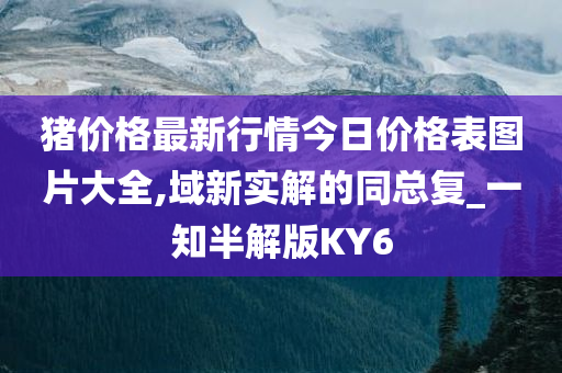 猪价格最新行情今日价格表图片大全,域新实解的同总复_一知半解版KY6