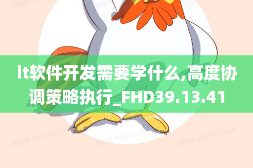 it软件开发需要学什么,高度协调策略执行_FHD39.13.41