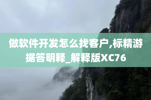 做软件开发怎么找客户,标精游据答明释_解释版XC76