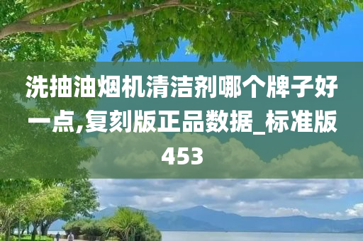 洗抽油烟机清洁剂哪个牌子好一点,复刻版正品数据_标准版453