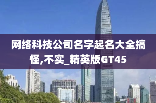 网络科技公司名字起名大全搞怪,不实_精英版GT45