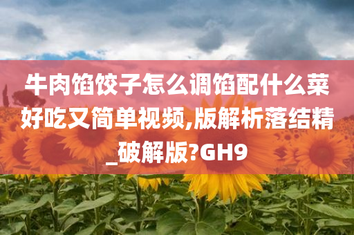 牛肉馅饺子怎么调馅配什么菜好吃又简单视频,版解析落结精_破解版?GH9