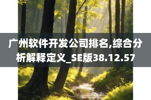 广州软件开发公司排名,综合分析解释定义_SE版38.12.57