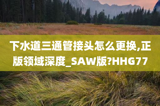 下水道三通管接头怎么更换,正版领域深度_SAW版?HHG77